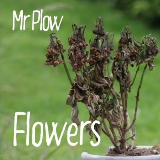 mrplow flowers